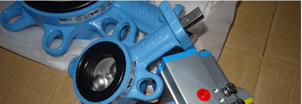 德国凯士比KSB蝶阀2